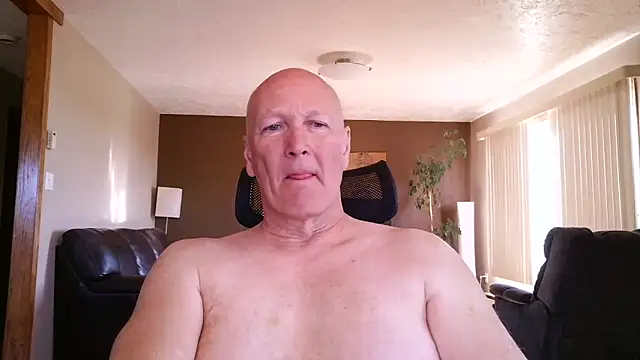 BasicAnt online show from 05.06.26