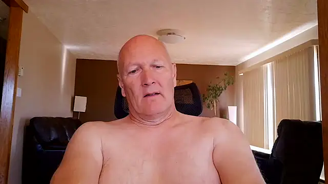 BasicAnt online show from 07.15.26