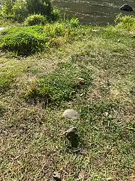 Snapshot of MAHKE12 chatting on 09.27.25 MAHKE12 online show from 09.27.25