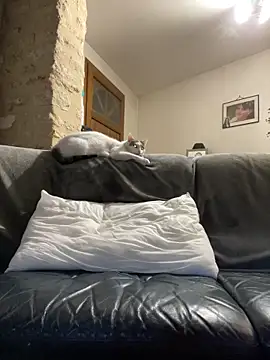 Snapshot of steph19x5 chatting on 03.14.26 steph19x5 online show from 03.14.26