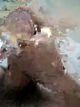 Snapshot of naghmi12 chatting on 11.11.25 naghmi12 online show from 11.11.25