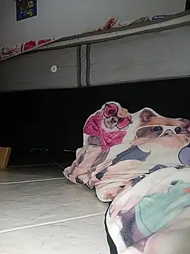 Snapshot of Van3orgasm4me chatting on 02.13.26 Van3orgasm4me online show from 02.13.26