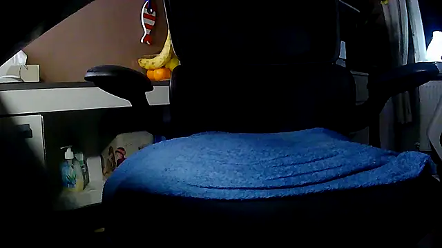 suedel65 online show from 11.29.25