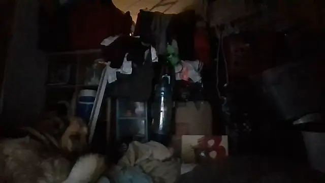 brandonontop online show from 02.11.26