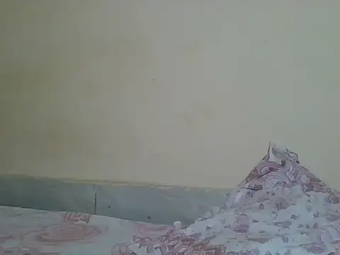 sexyjanett online show from 04.21.26
