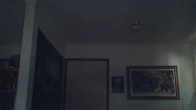 HOTANAL online show from 03.11.25