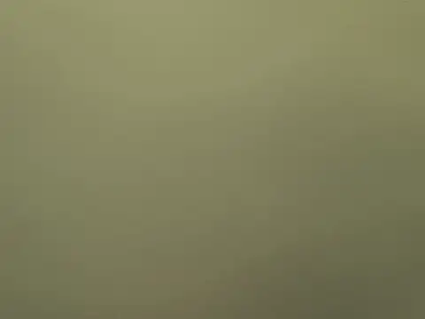 Alexiadreamer online show from 10.28.25