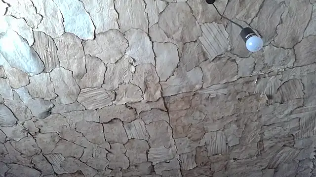 ThickBones online show from 02.03.26