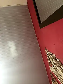 pimenta gaby online show from 11.15.25