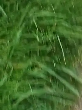 Mallu King of Penis online show from 05.03.26