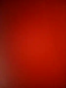 Snapshot of Petite_li chatting on 11.26.25 Petite li online show from 11.26.25