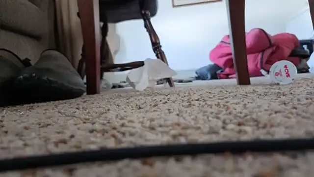 Snapshot of CDforU chatting on 02.05.26 CDforU online show from 02.05.26