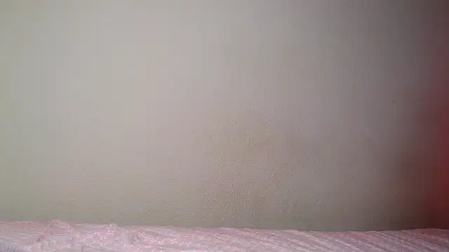 Snapshot of Just_alice chatting on 10.13.25 Just alice online show from 10.13.25