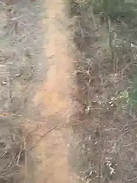 Gopal1243 online show from 02.10.25