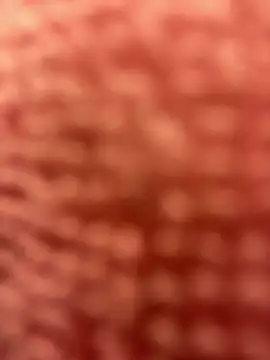 BigFineSelena online show from 01.11.25