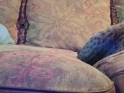 highstepper500 online show from 12.02.25