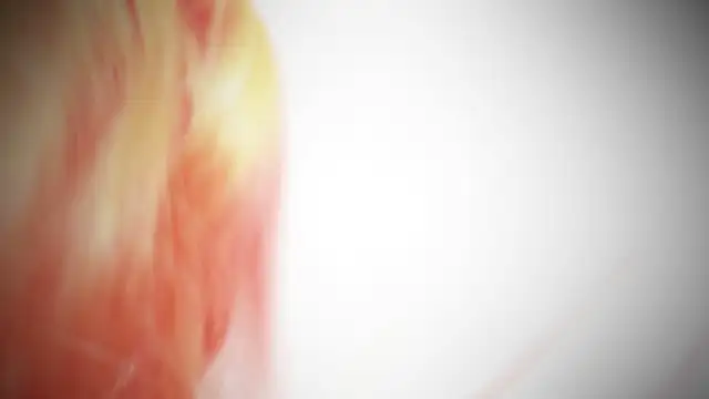 Snapshot of MayaAkashova chatting on 11.01.25 MayaAkashova online show from 11.01.25