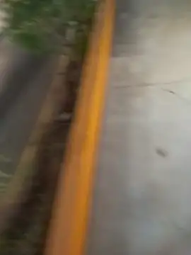 Snapshot of sagrado_1989 chatting on 02.08.26 sagrado 1989 online show from 02.08.26