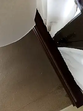 White rabbit  online show from 12.11.24