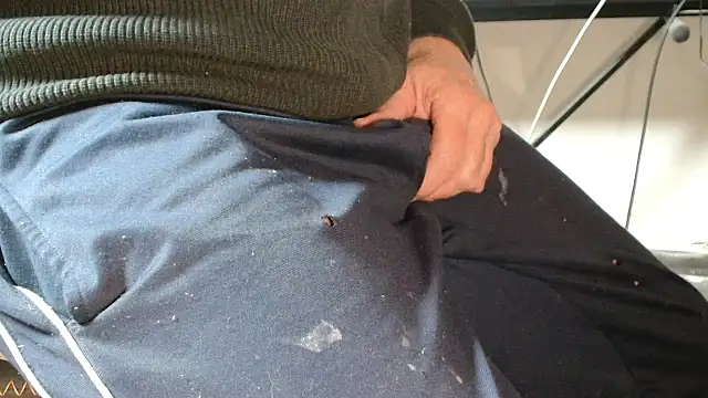 blow2gold online show from 11.06.25