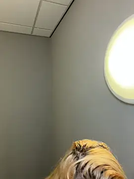 Snapshot of Strongqueen chatting on 02.13.26 Strongqueen online show from 02.13.26