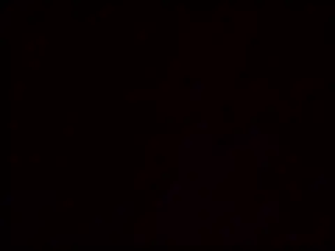 Vicusgdl online show from 03.29.26