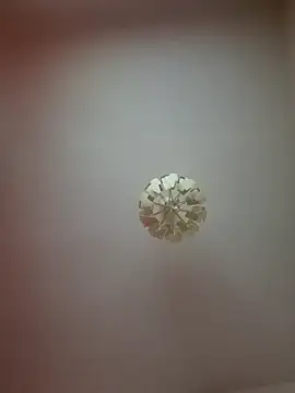 Snapshot of cuci45 chatting on 03.21.26 cuci45 online show from 03.21.26