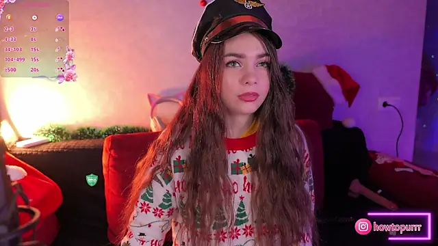 How2Meow online show from 01.14.25