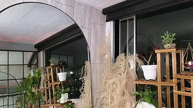 emely brandon online show from 12.12.24