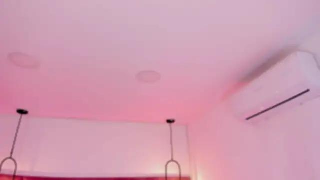 babepolly online show from 01.16.26