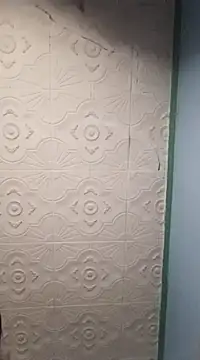 Snapshot of HAIRY_PUSSY_BIG chatting on 01.01.25 HAIRY PUSSY BIG online show from 01.01.25