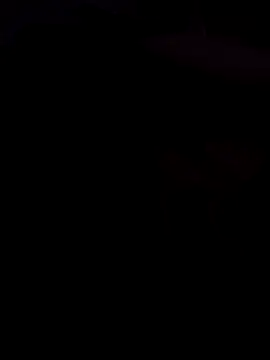 mustican422 online show from 02.17.26