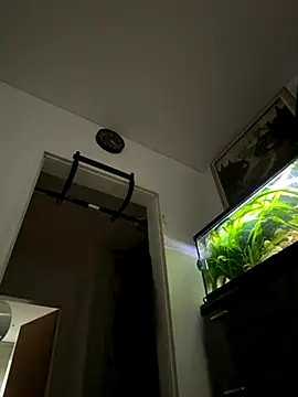 Toyjungee online show from 09.22.25