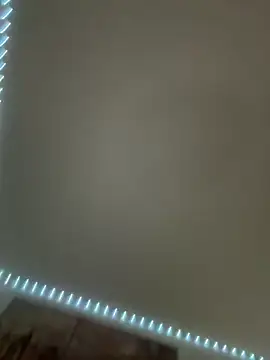 Toyjungee online show from 10.07.25