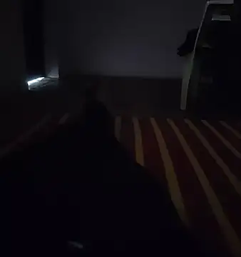 sandy-006 online show from 11.14.25