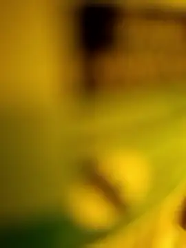 Snapshot of George21ek chatting on 01.09.26 George21ek online show from 01.09.26