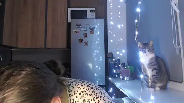 delightful sofi online show from 10.23.25