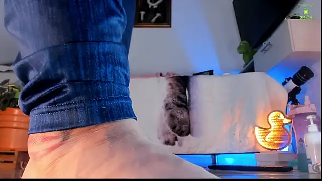 Snapshot of miaa-lee chatting on 10.23.25 miaa-lee online show from 10.23.25