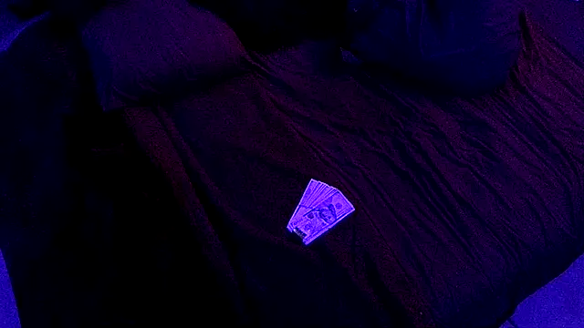 Snapshot of Time2playN303party chatting on 11.14.25 Time2playN303party online show from 11.14.25