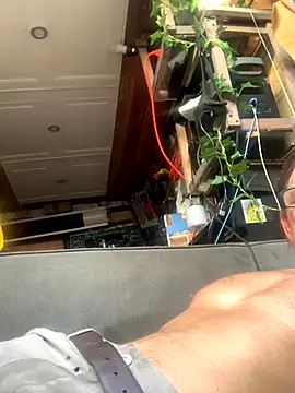 Likewise online show from 12.18.25