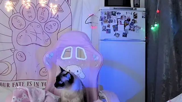 Snapshot of Holy420lolii chatting on 01.18.26 Holy420lolii online show from 01.18.26