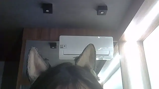 Skinny-Kitten online show from 02.05.26