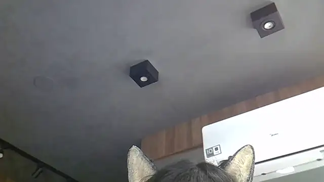 Skinny-Kitten online show from 03.04.26