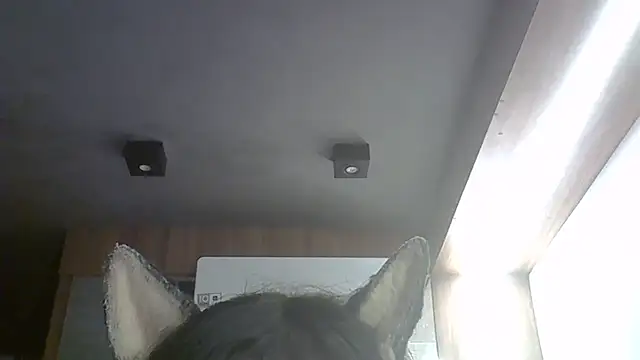 Skinny-Kitten online show from 03.09.26