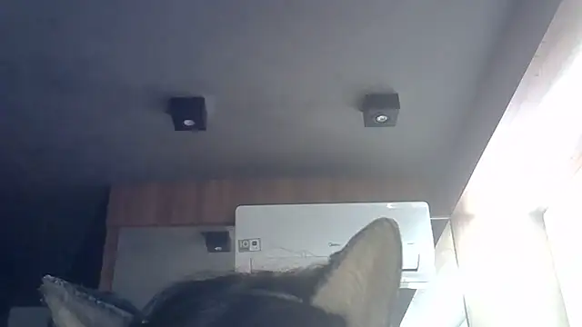 Skinny-Kitten online show from 06.09.26