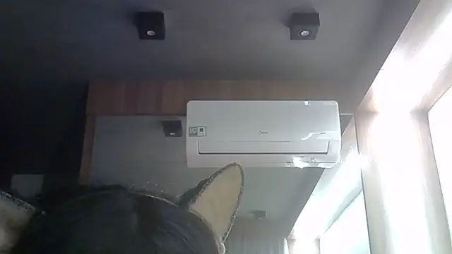 Skinny-Kitten online show from 06.12.26