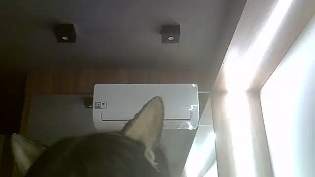 Skinny-Kitten online show from 07.20.26