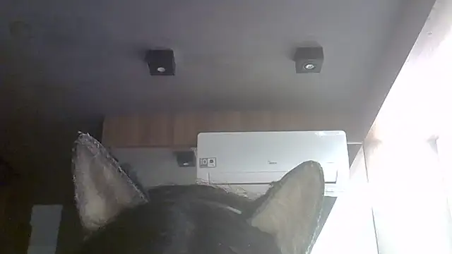 Skinny-Kitten online show from 08.01.26