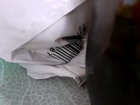 Snapshot of ManBlackhot chatting on 12.17.24 ManBlackhot online show from 12.17.24