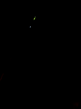 Snapshot of ManBlackhot chatting on 01.20.25 ManBlackhot online show from 01.20.25